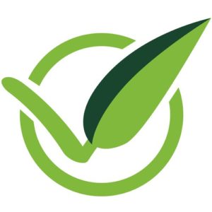 Philips Handsauger Preis-Leistung