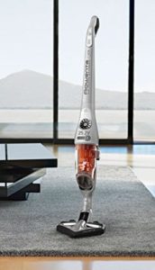 Rowenta Akkusauger Analyse